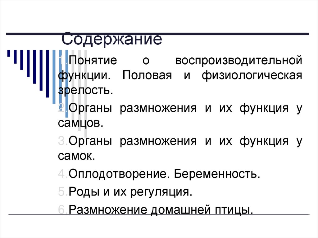 Содержание