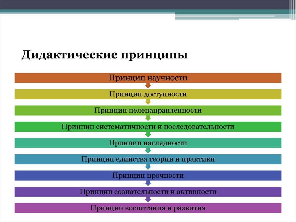 Дидактические принципы