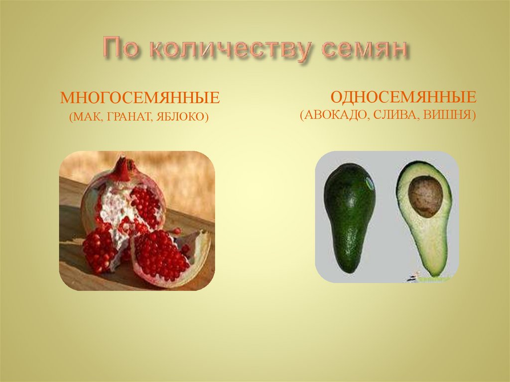 По количеству семян