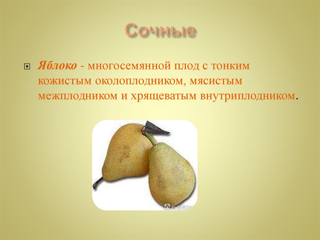 Сочные