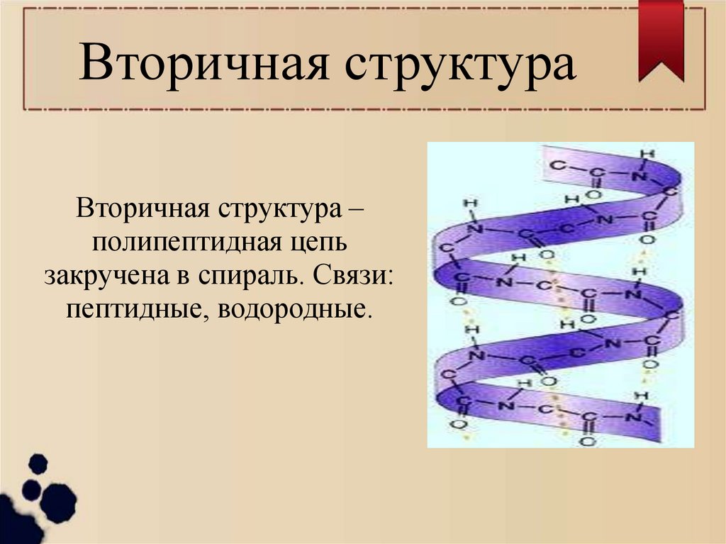 Вторичная структура