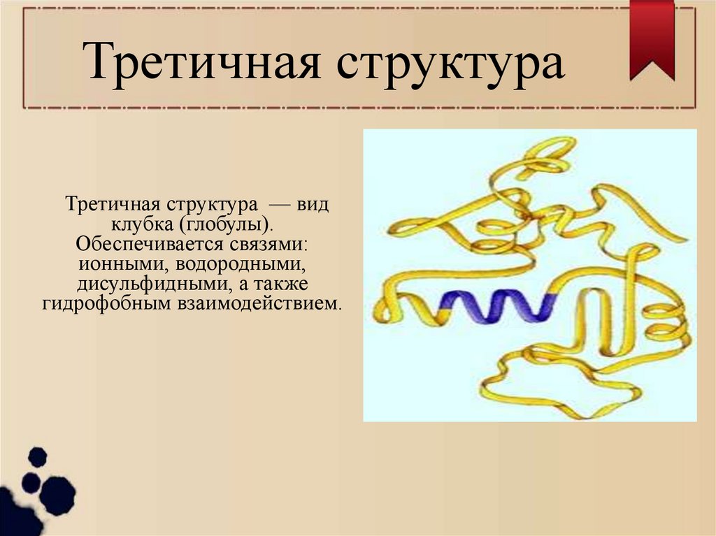 Третичная структура