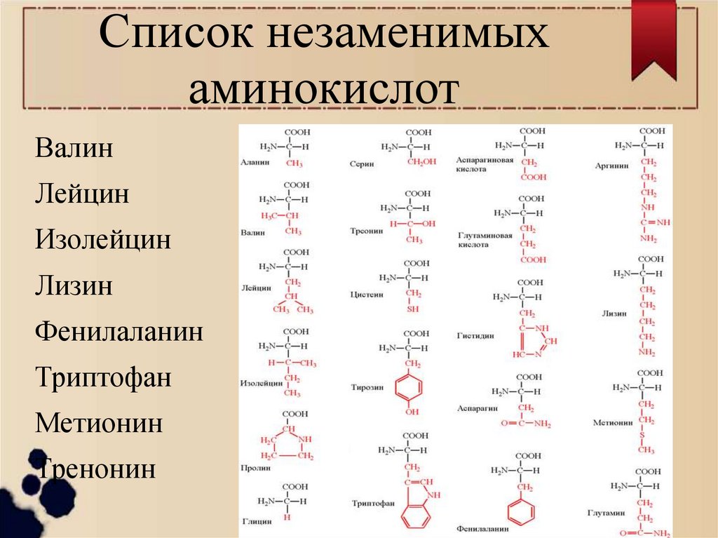 Список незаменимых аминокислот