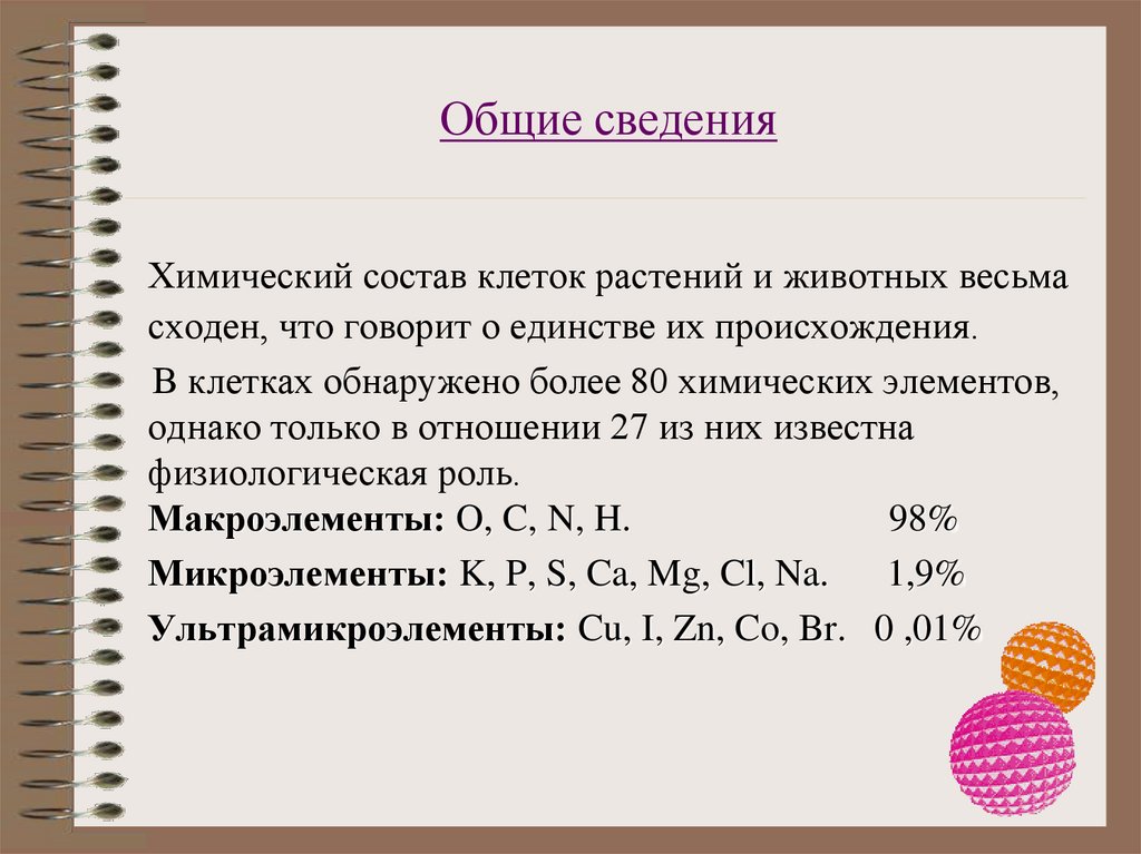 Общие сведения