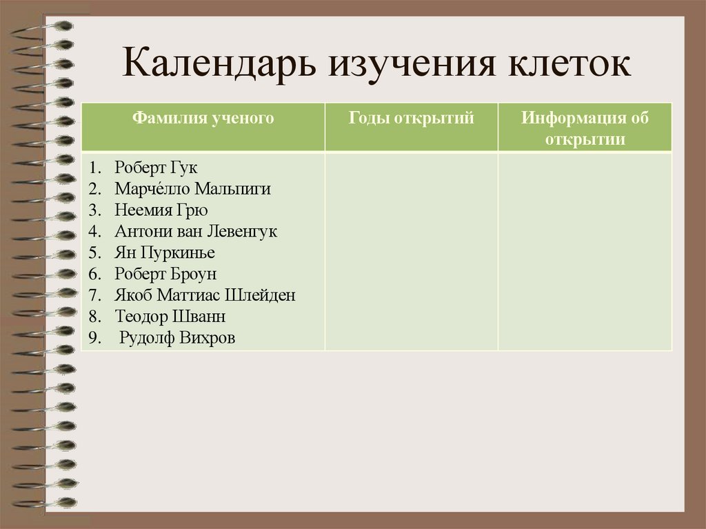 Календарь изучения клеток