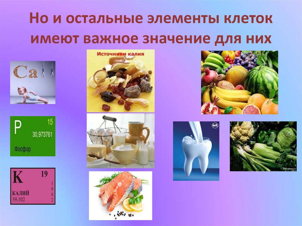 Но и остальные элементы клеток имеют важное значение для них