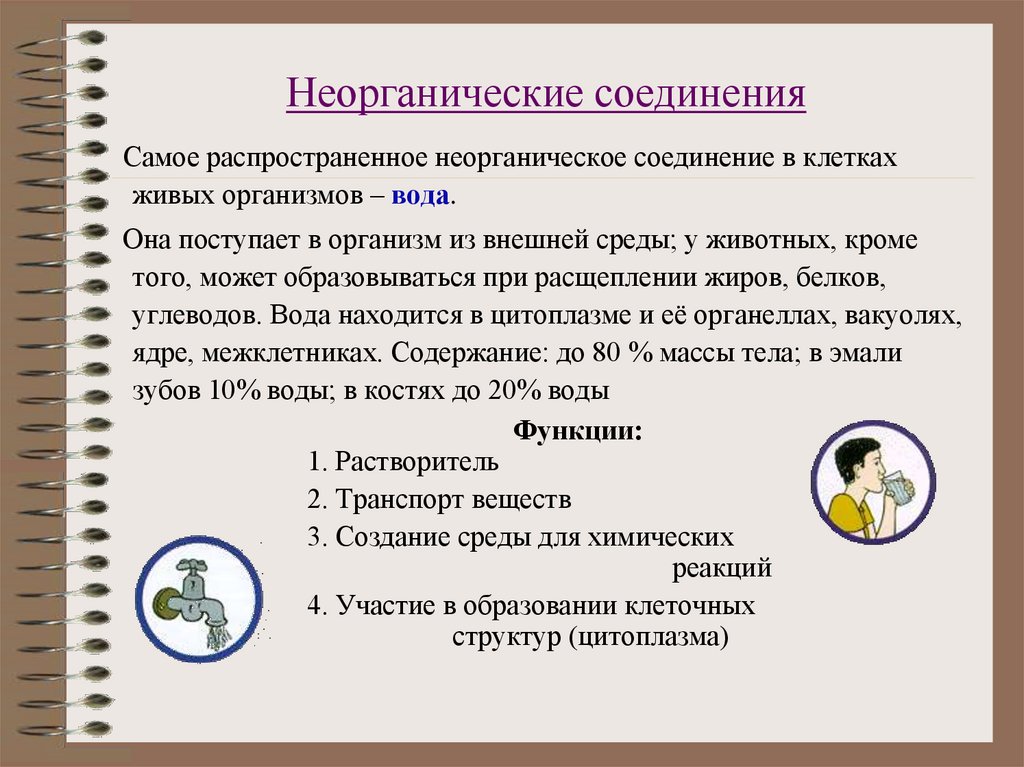 Неорганические соединения
