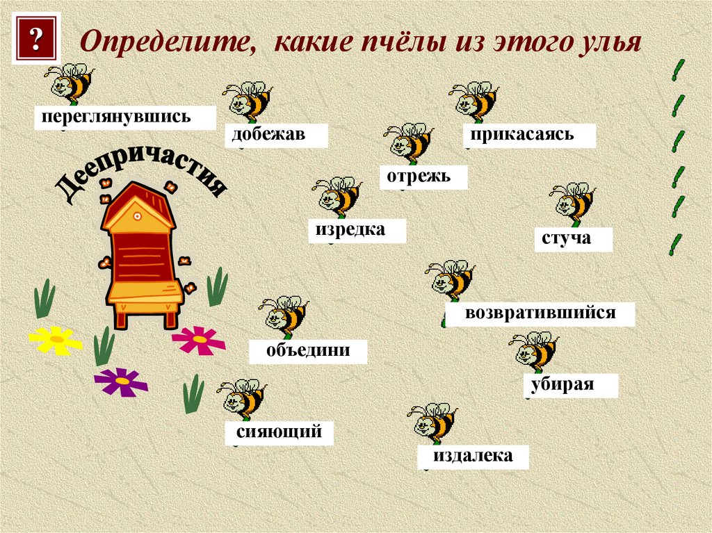 Определите, какие пчёлы из этого улья