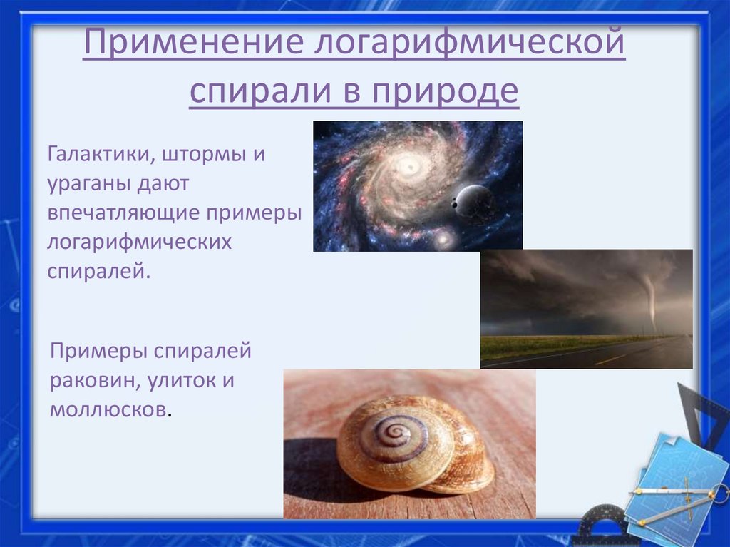 Применение логарифмической спирали в природе