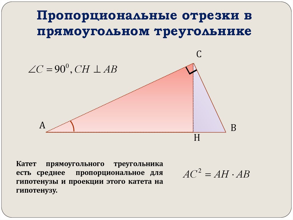 Пропорциональные отрезки в прямоугольном треугольнике