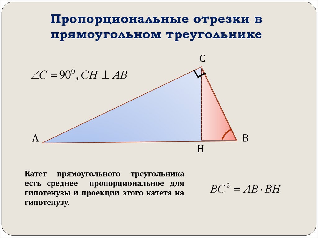 Пропорциональные отрезки в прямоугольном треугольнике