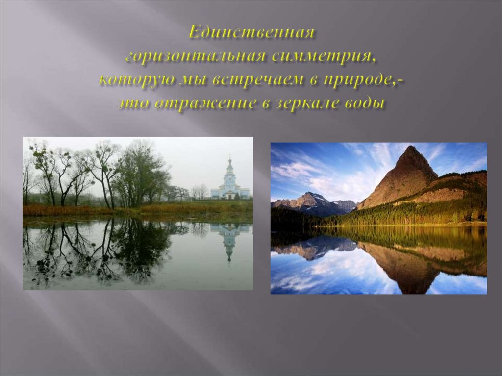 Единственная горизонтальная симметрия, которую мы встречаем в природе,- это отражение в зеркале воды