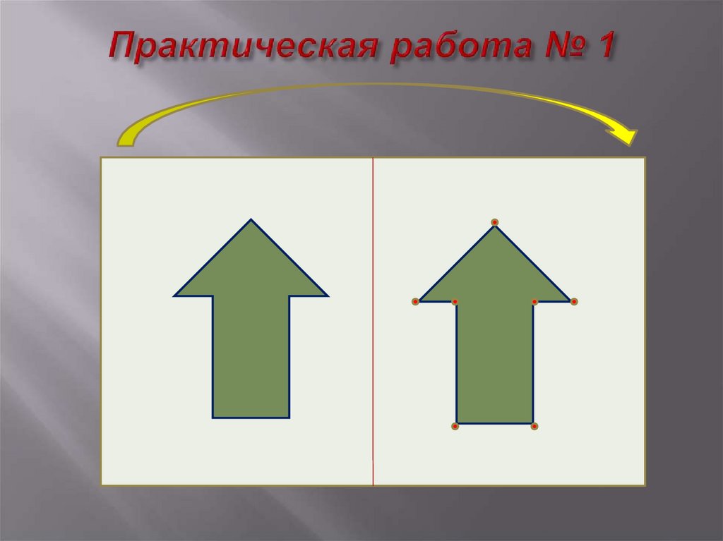 Практическая работа № 1