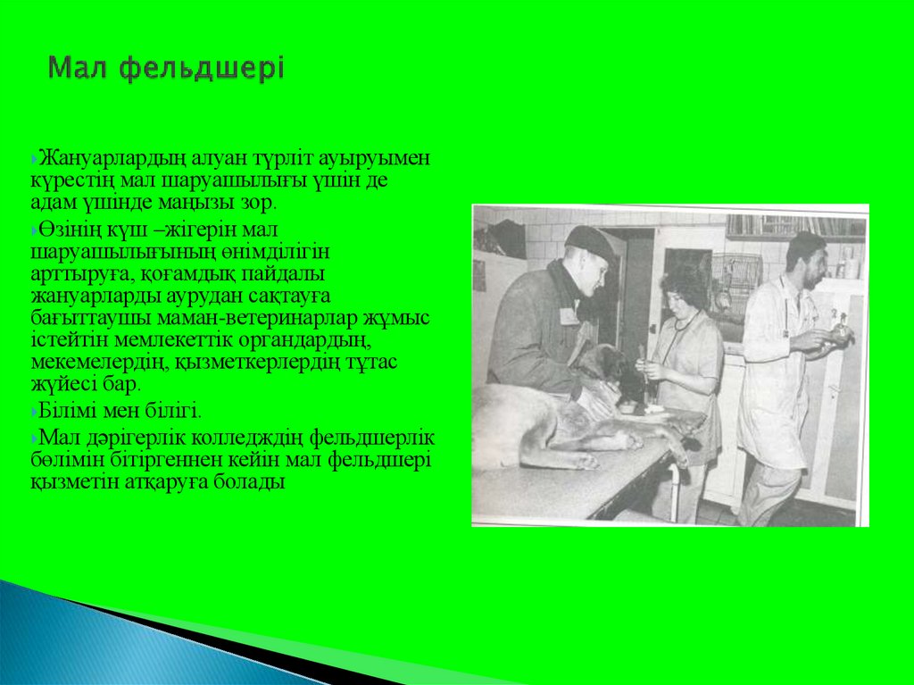 Мал фельдшері