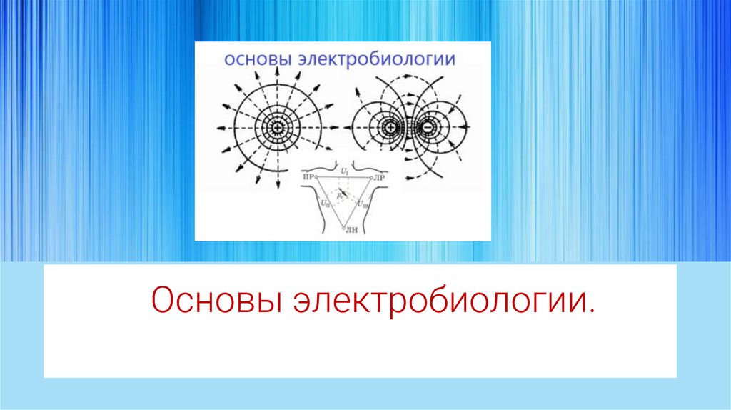 Основы электробиологии.