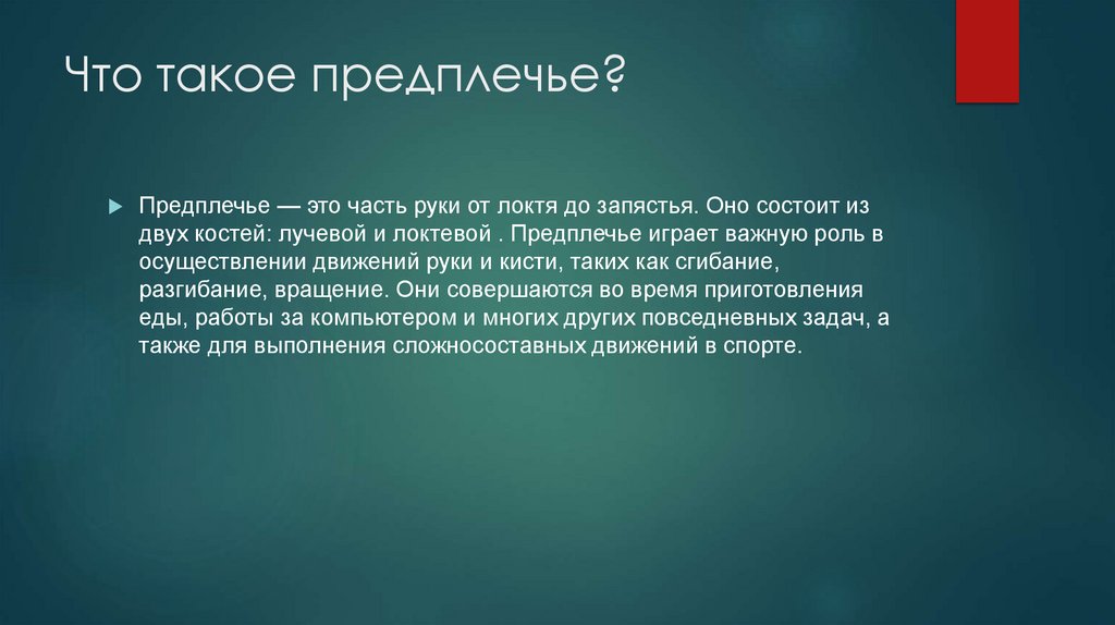 Что такое предплечье?