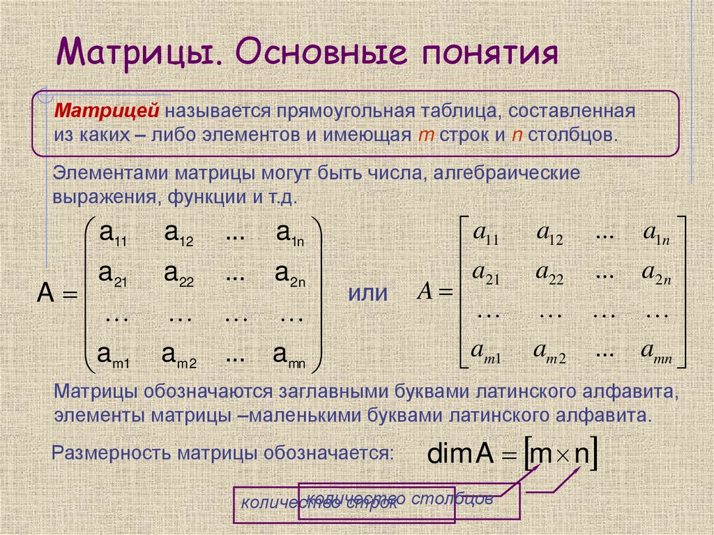 Матрицы. Основные понятия