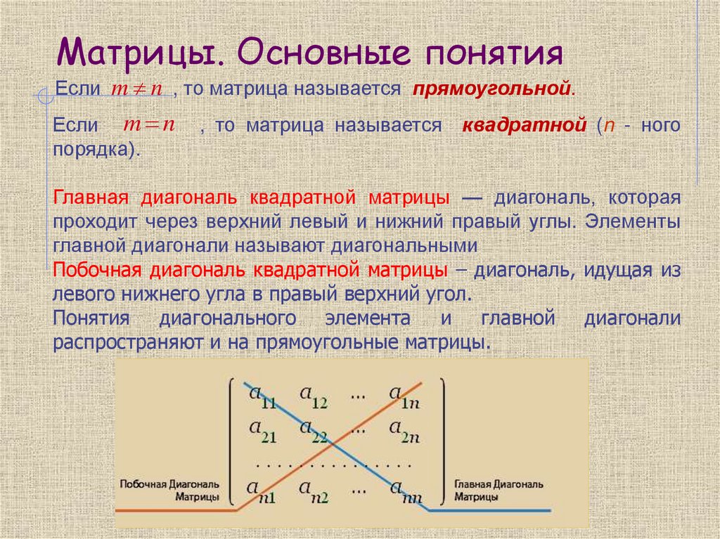 Матрицы. Основные понятия
