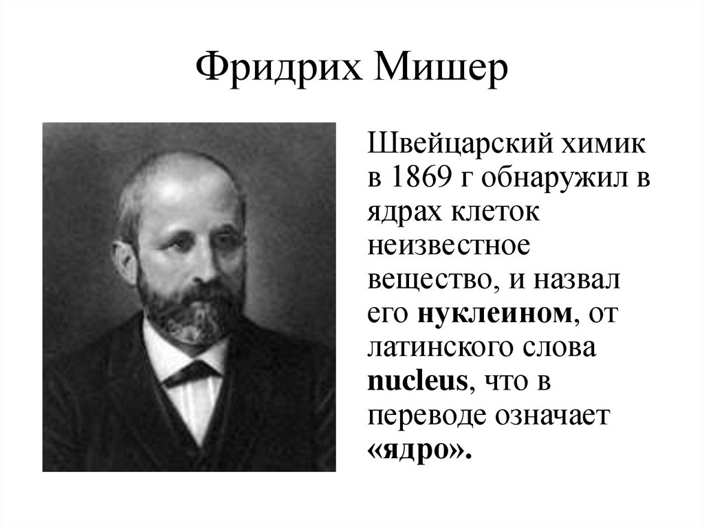 Фридрих Мишер