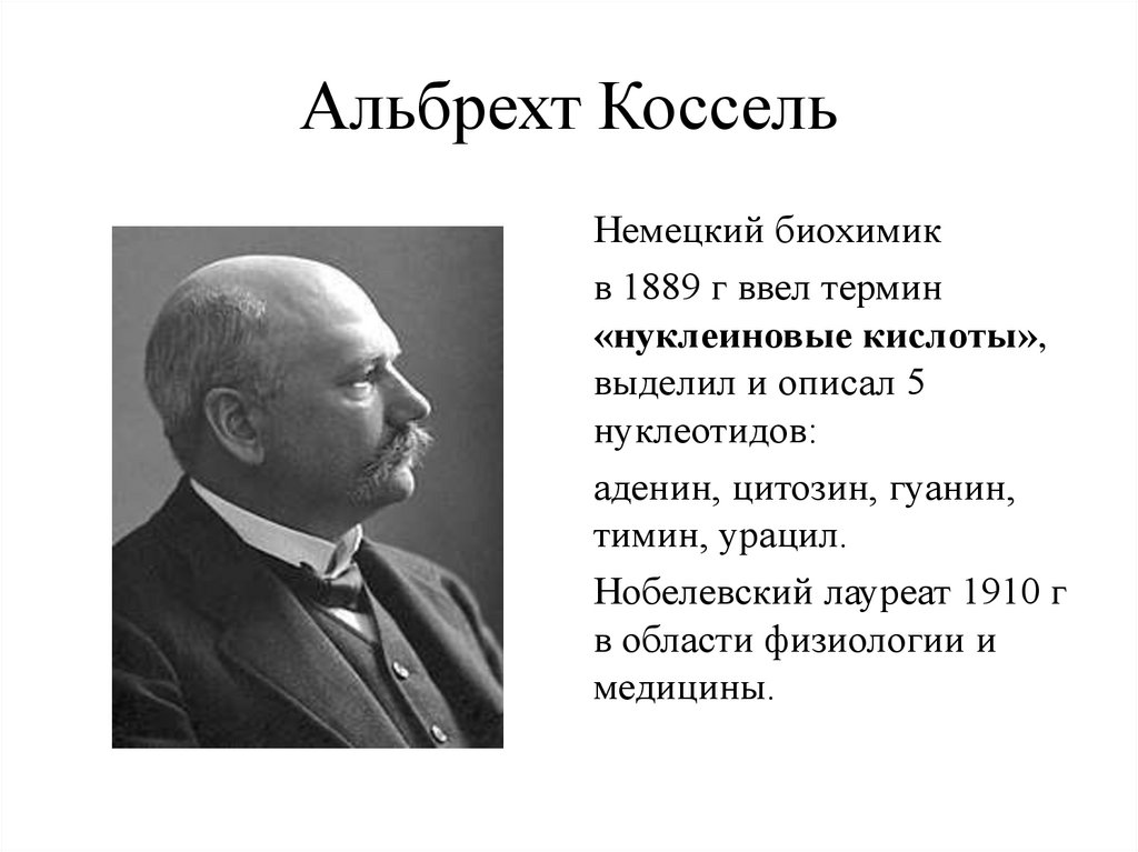 Альбрехт Коссель