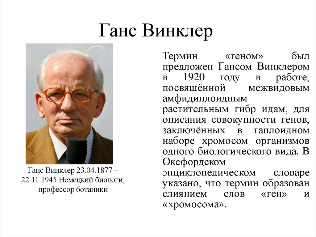 Ганс Винклер