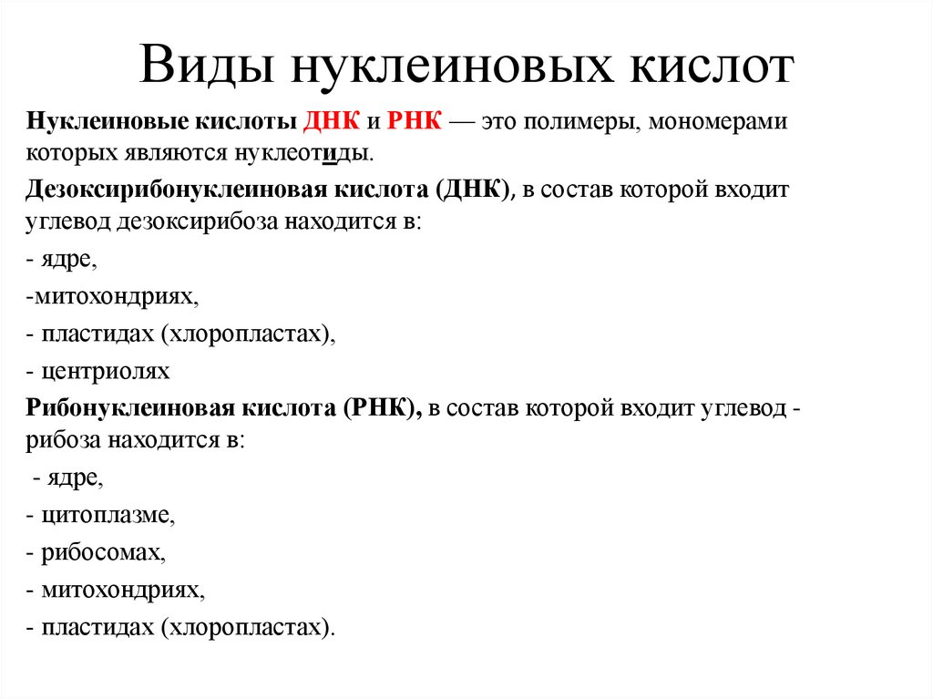 Виды нуклеиновых кислот