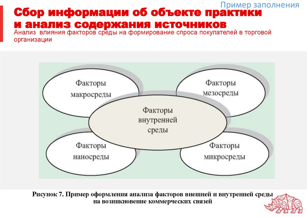 Сбор информации об объекте практики и анализ содержания источников