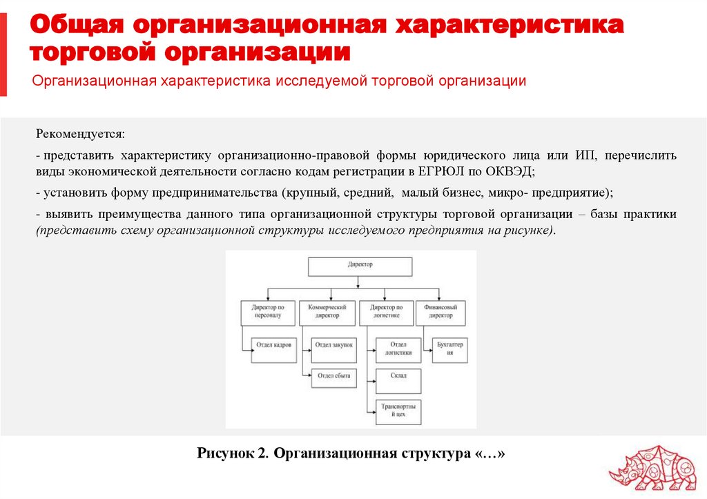 Общая организационная характеристика торговой организации
