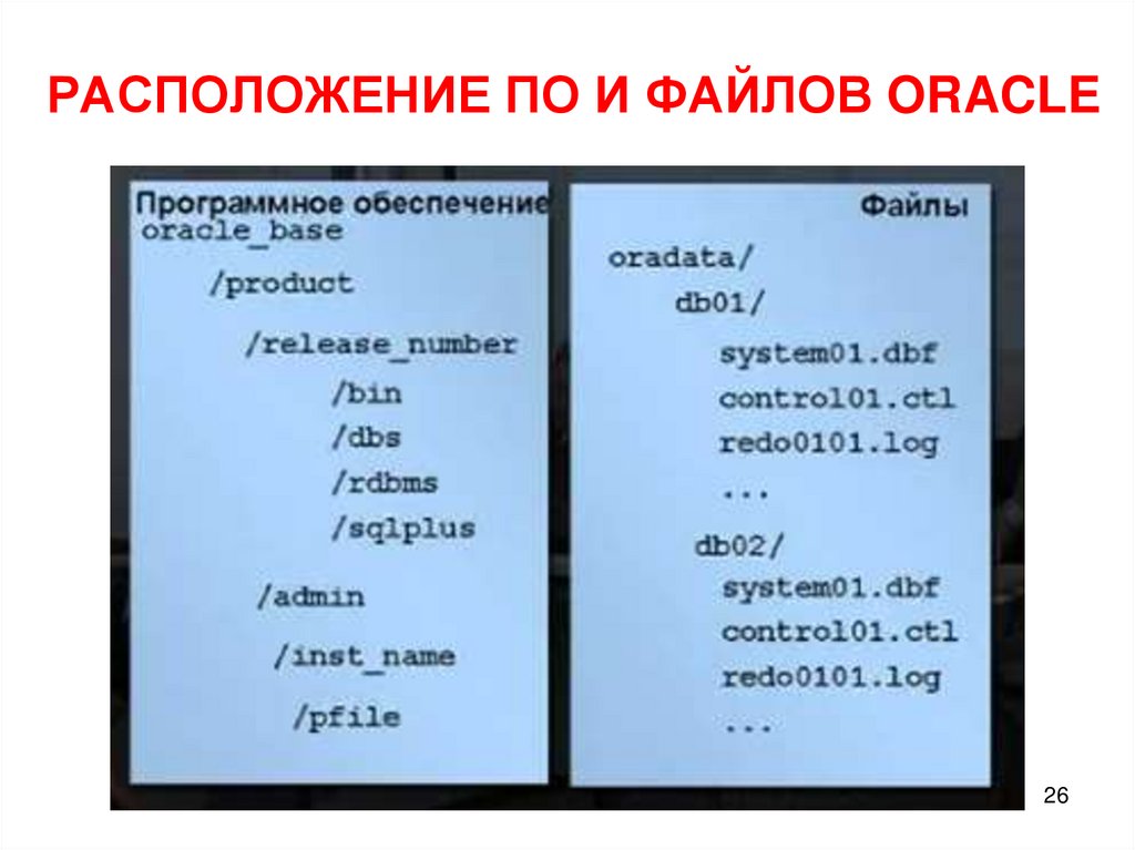 РАСПОЛОЖЕНИЕ ПО И ФАЙЛОВ ORACLE