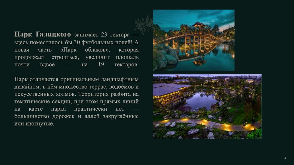 Парк Галицкого занимает 23 гектара — здесь поместилось бы 30 футбольных полей! А новая часть «Парк облаков», которая продолжает