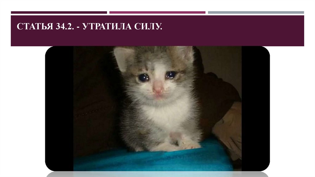 Статья 34.2. - Утратила силу.