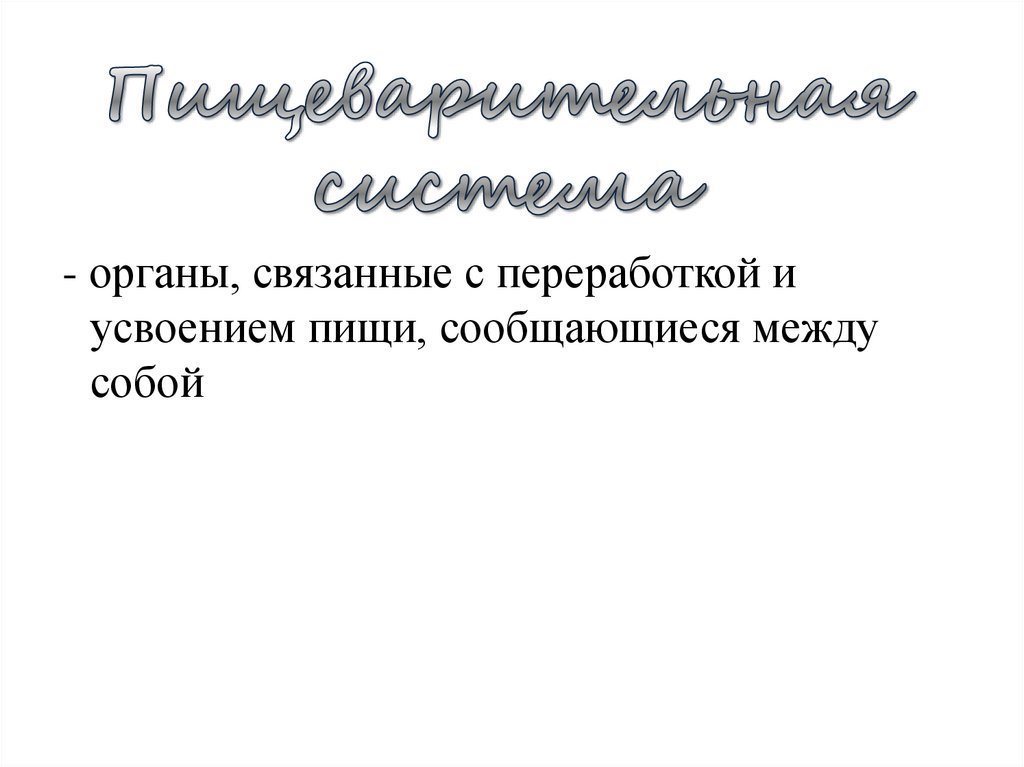 Пищеварительная система