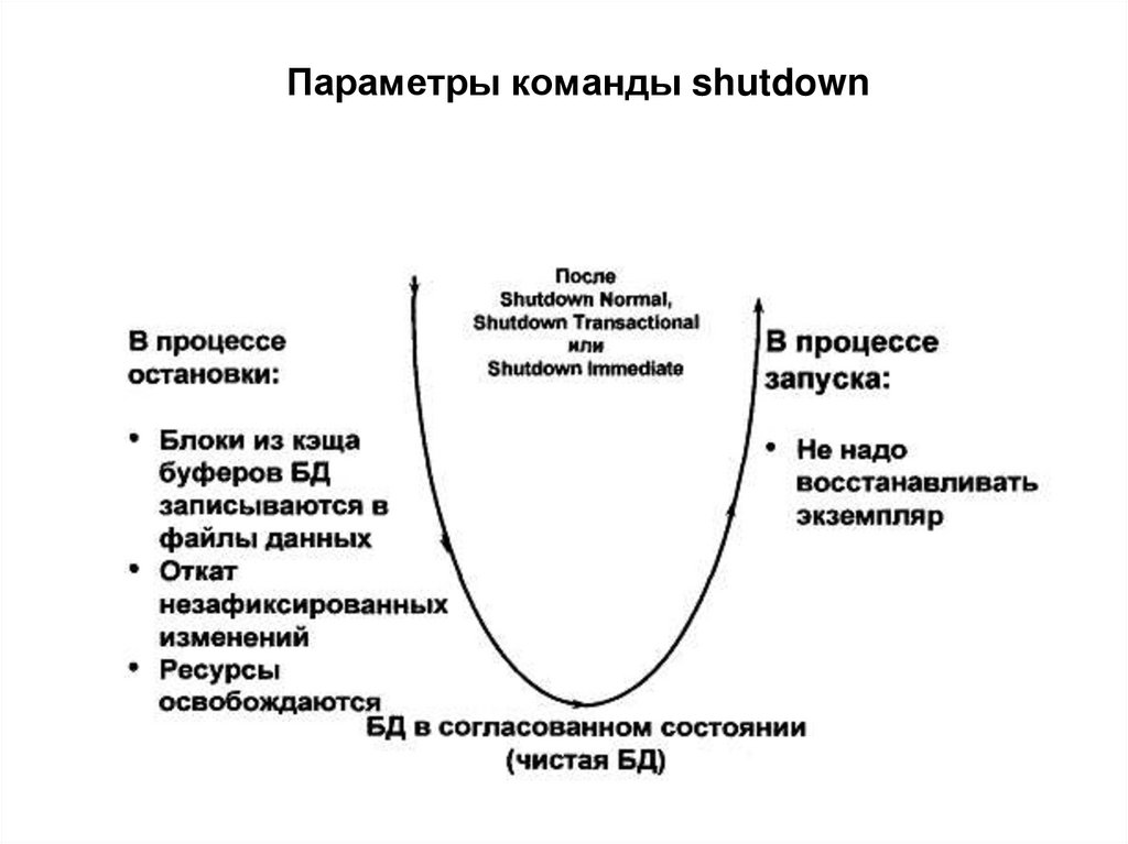 Параметры команды shutdown