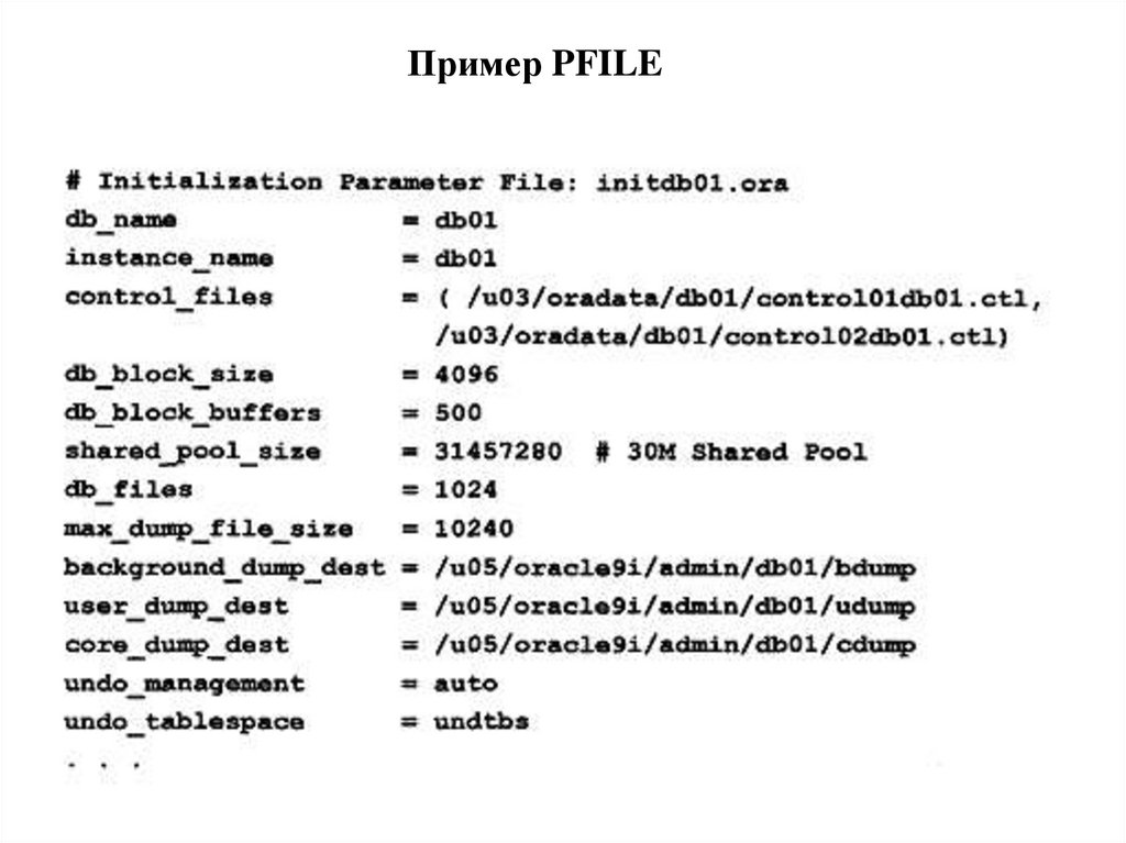 Пример PFILE