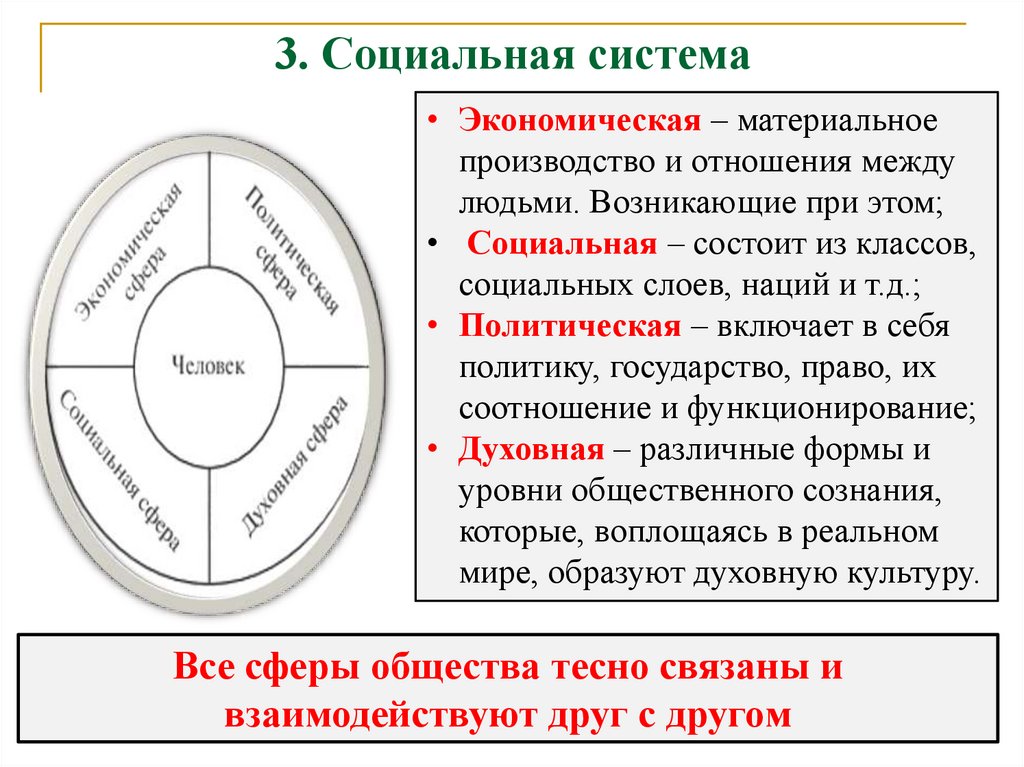 3. Социальная система