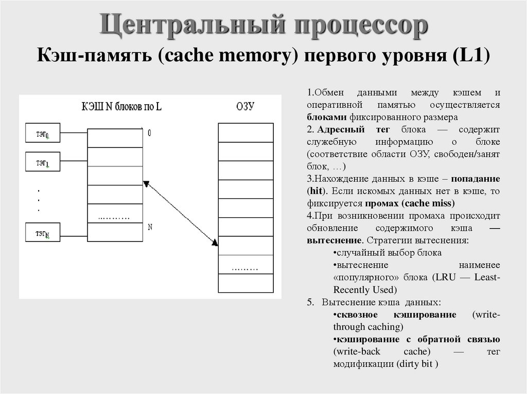Центральный процессор