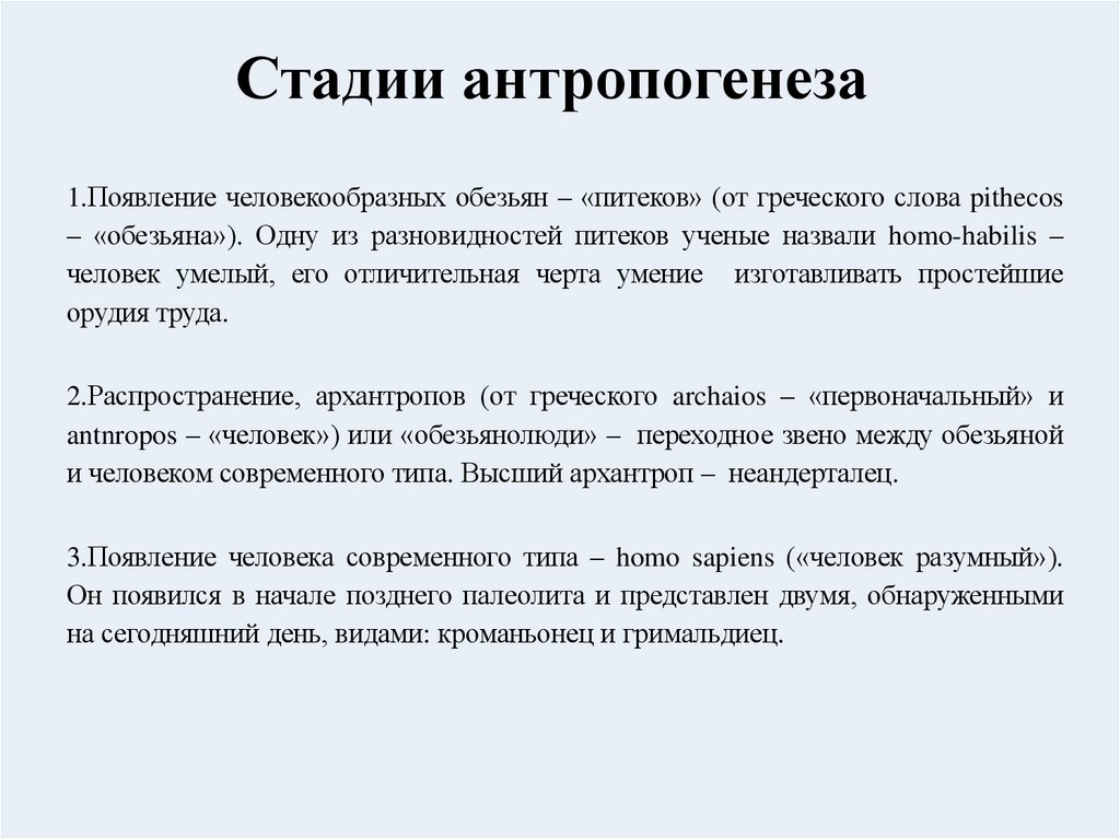 Стадии антропогенеза