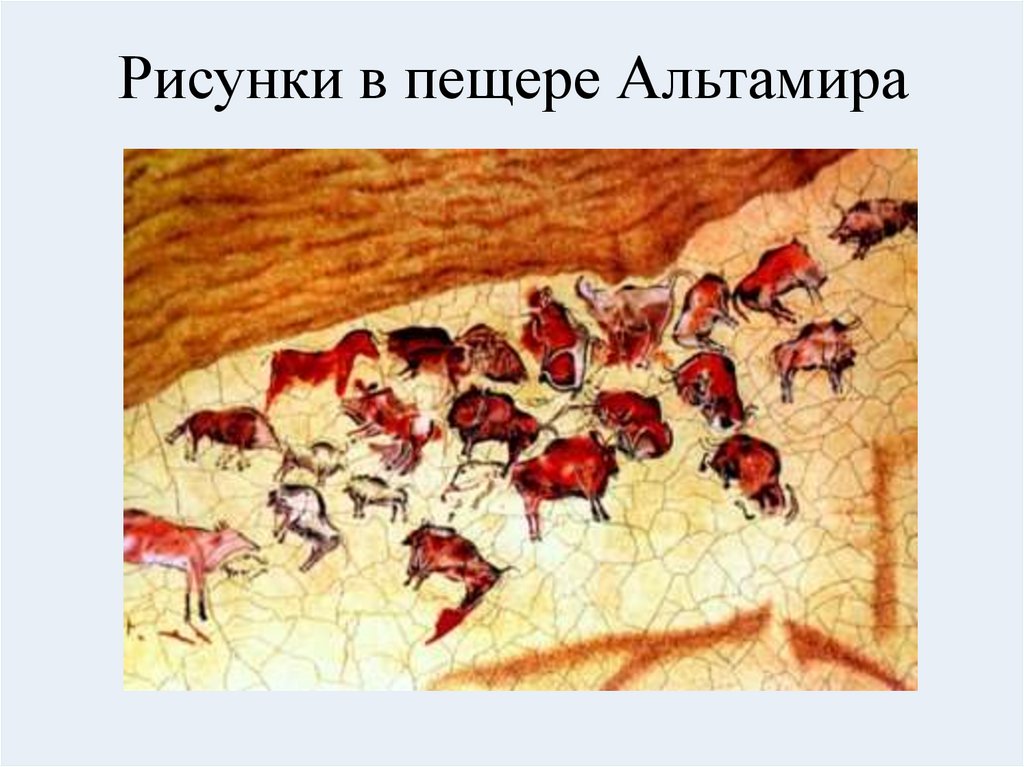 Рисунки в пещере Альтамира