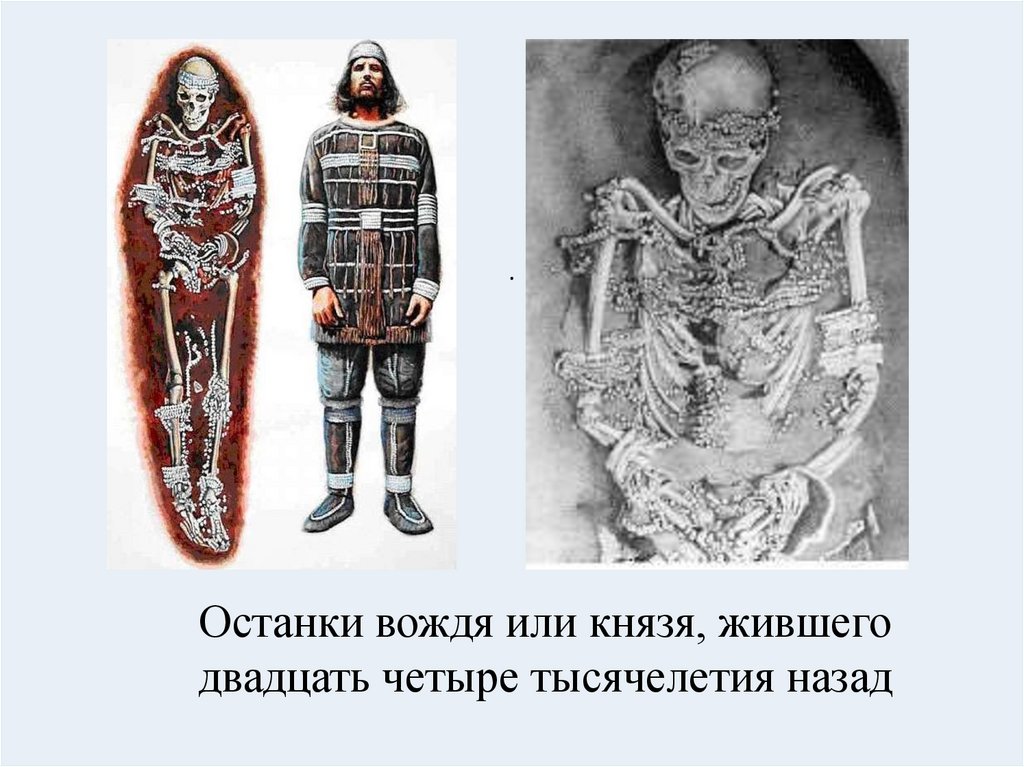 Останки вождя или князя, жившего двадцать четыре тысячелетия назад
