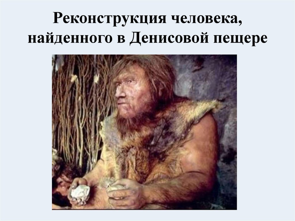 Реконструкция человека, найденного в Денисовой пещере