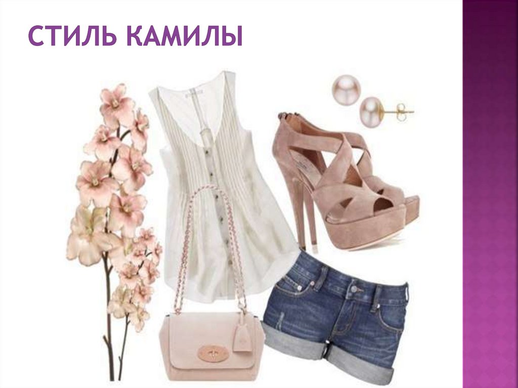 Стиль камилы