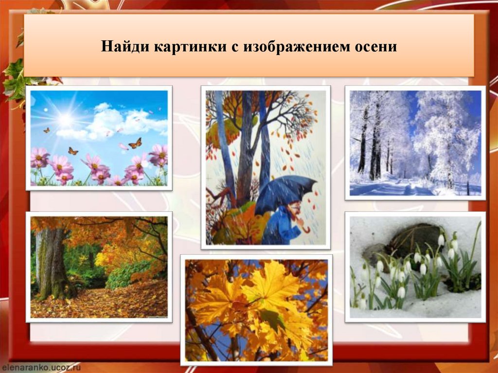 Найди картинки с изображением осени