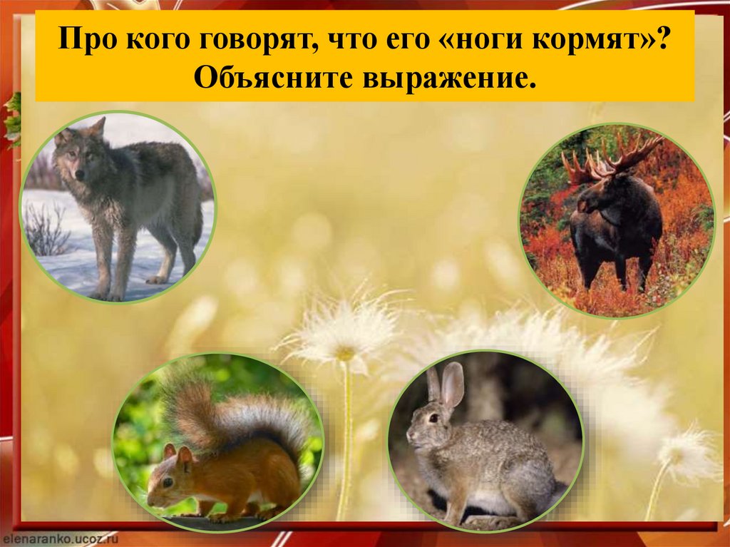 Про кого говорят, что его «ноги кормят»? Объясните выражение.