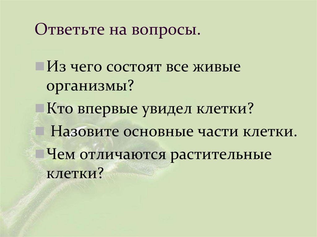 Ответьте на вопросы.