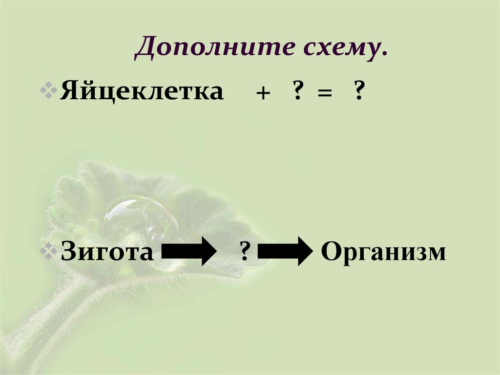 Дополните схему.