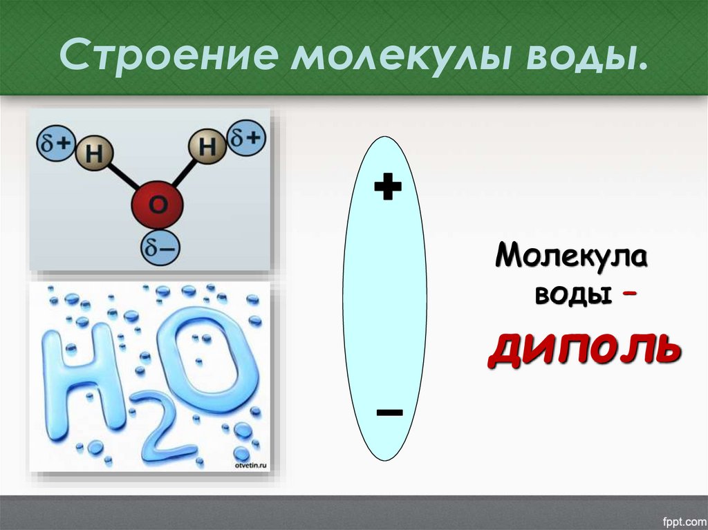 Строение молекулы воды.