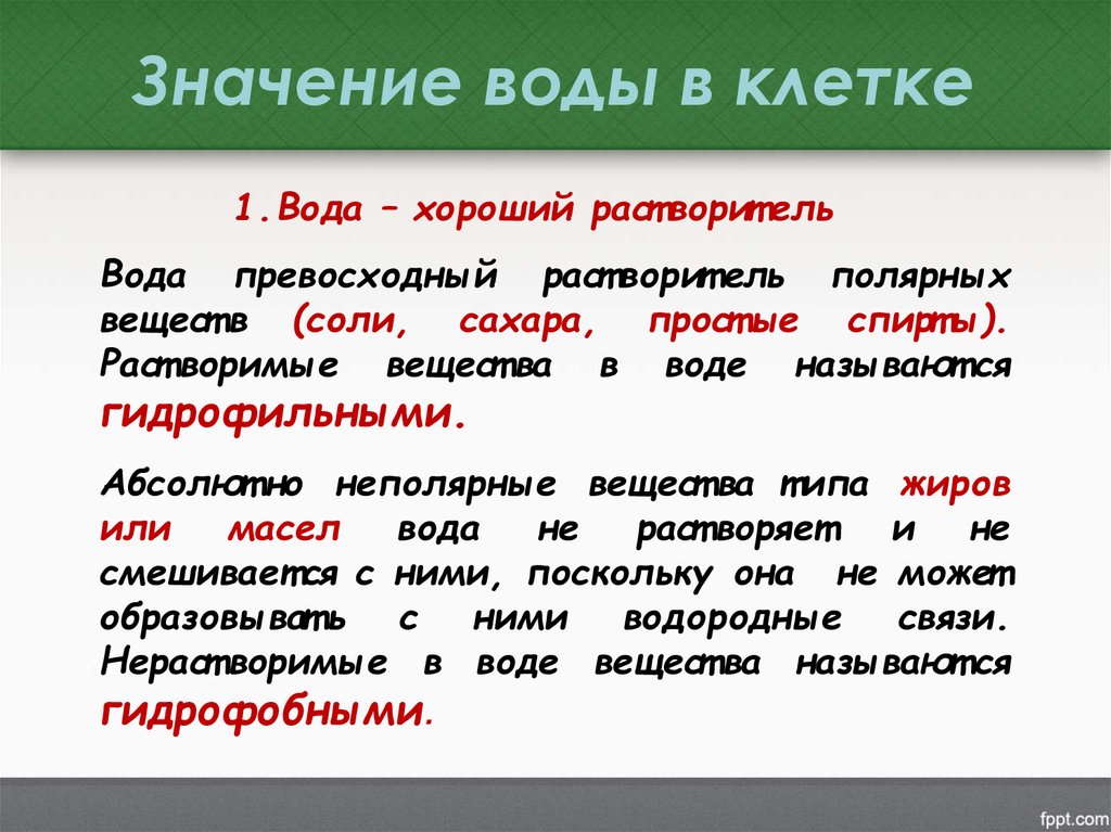 Значение воды в клетке