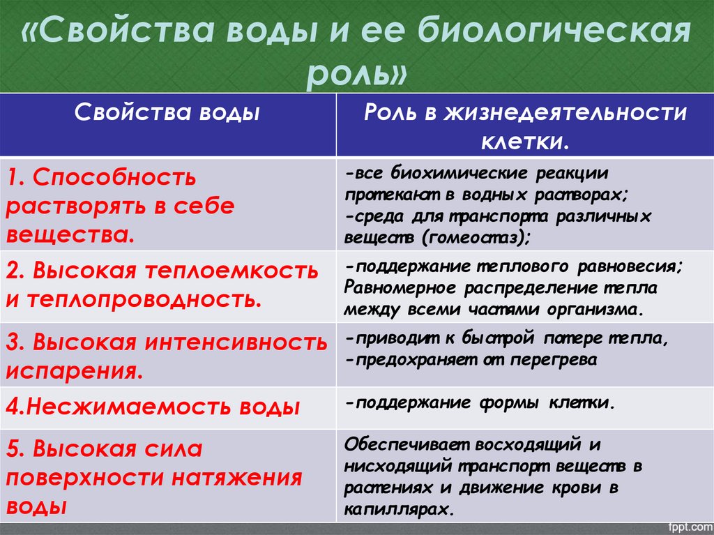 «Свойства воды и ее биологическая роль»