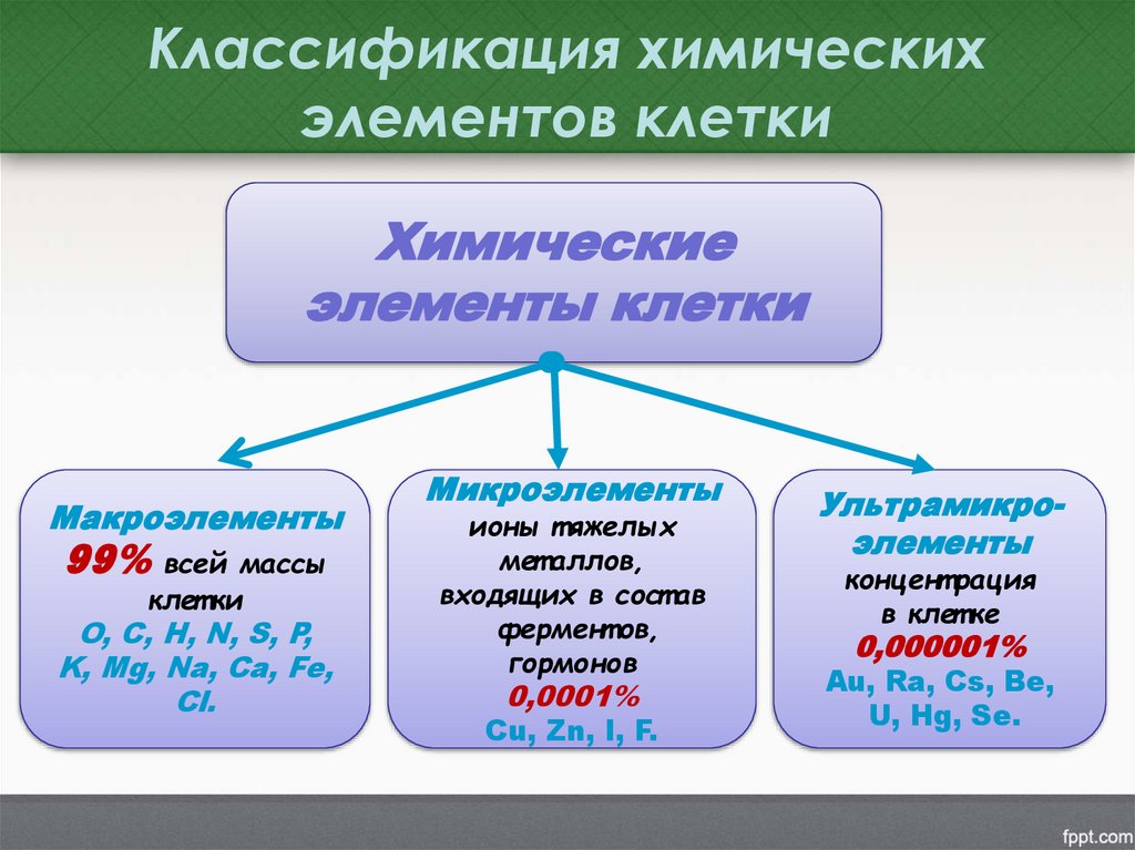Классификация химических элементов клетки