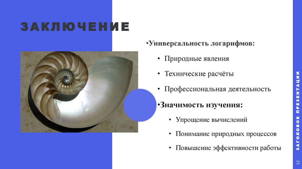 ЗАКЛЮЧЕНИЕ